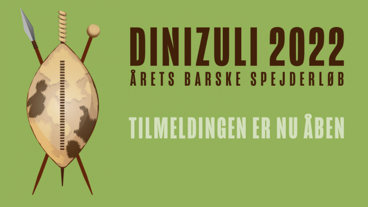 Logo Dinizuli